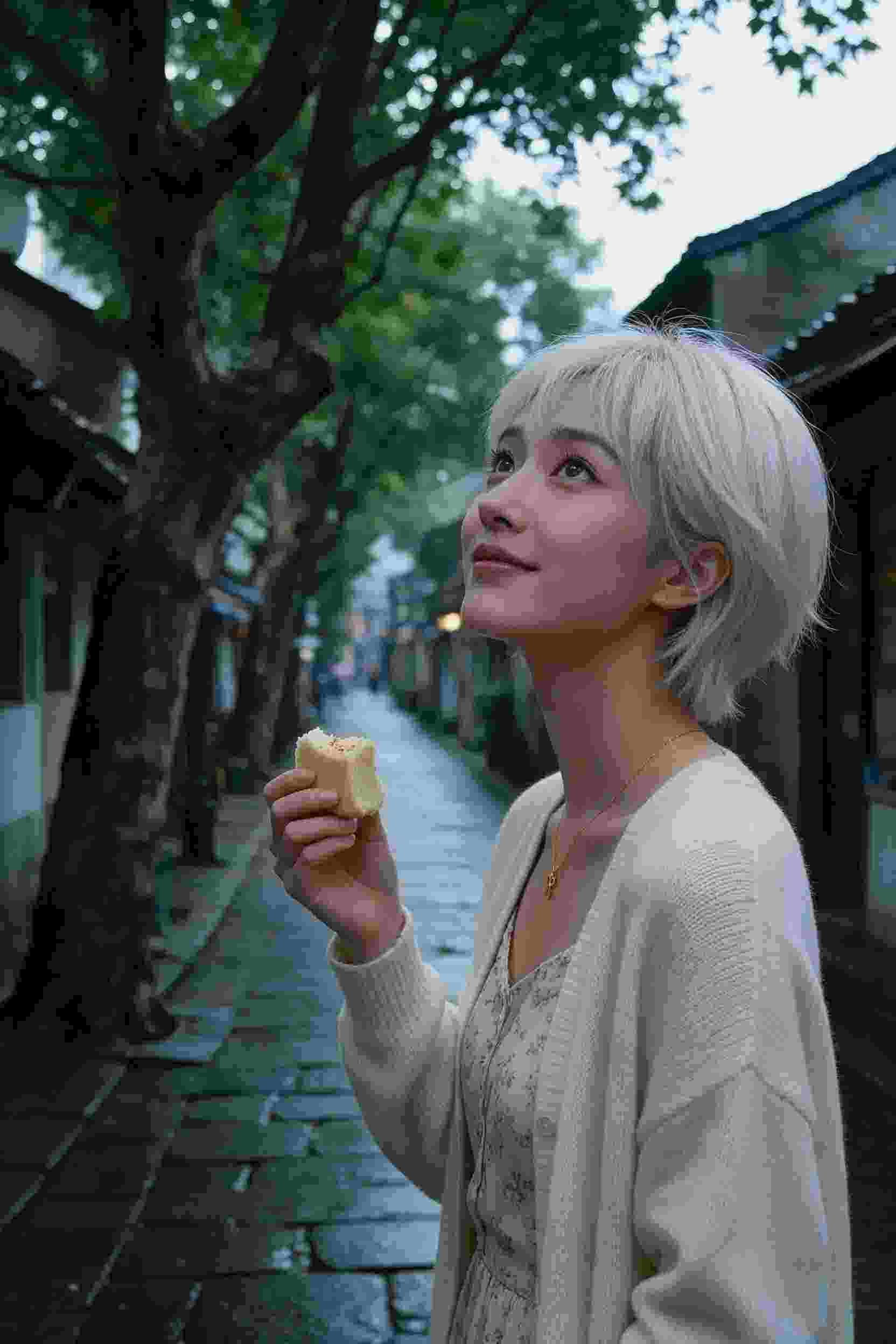 次元舰队